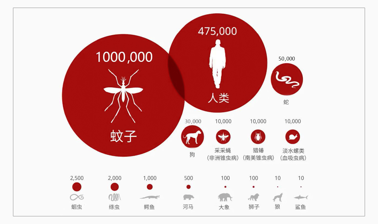 人类头号杀手 - 蚊子 缩略图
