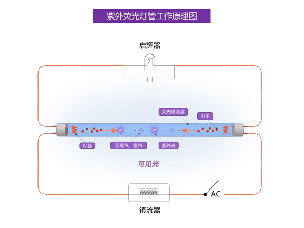 紫外诱蚊荧光灯工作原理 缩略图