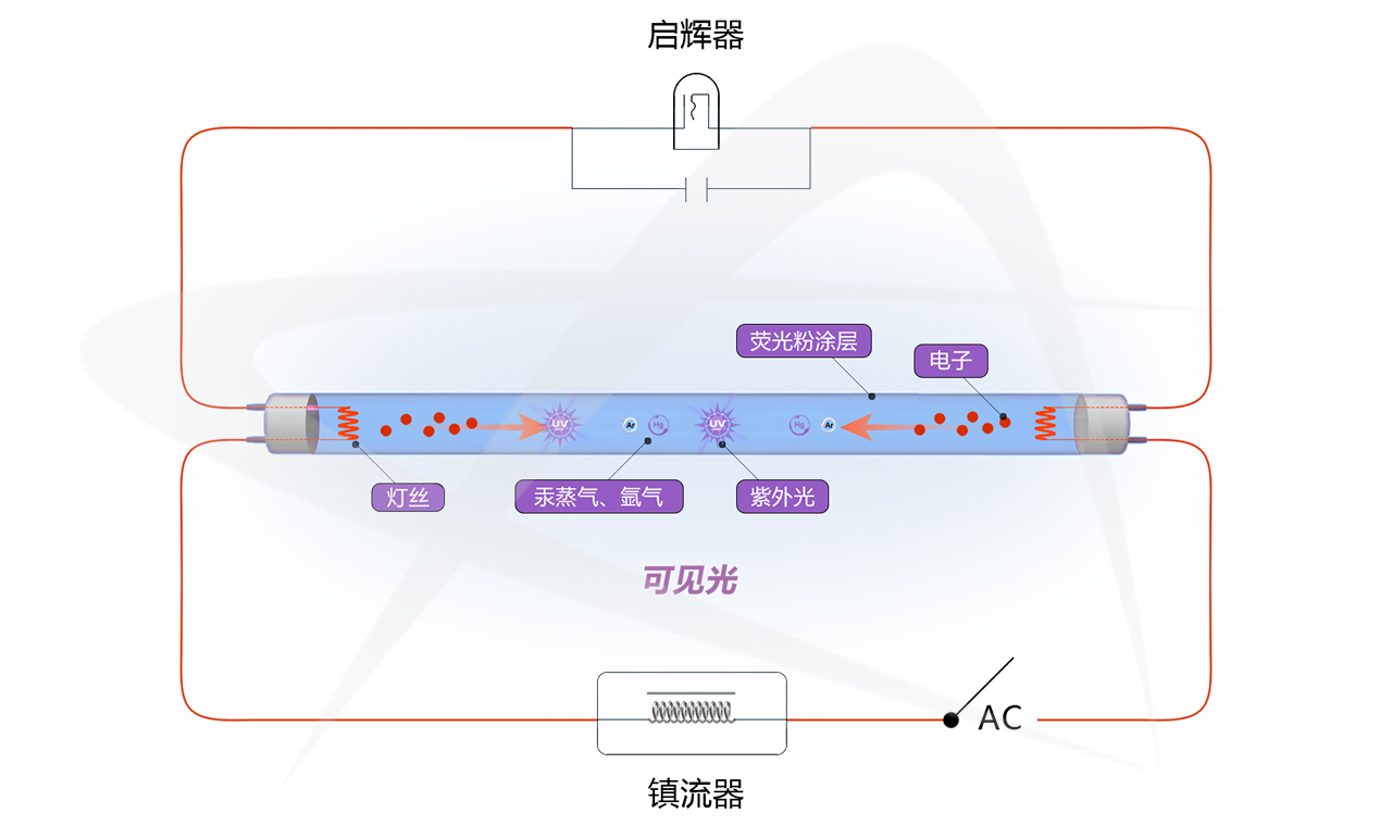微信图片_20250424093551.jpg